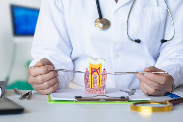 Best Pediatric Emergency Dentist in Bremen, GA